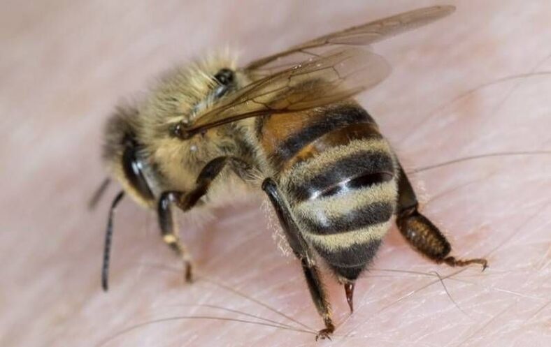 produk lebah untuk pembesaran zakar